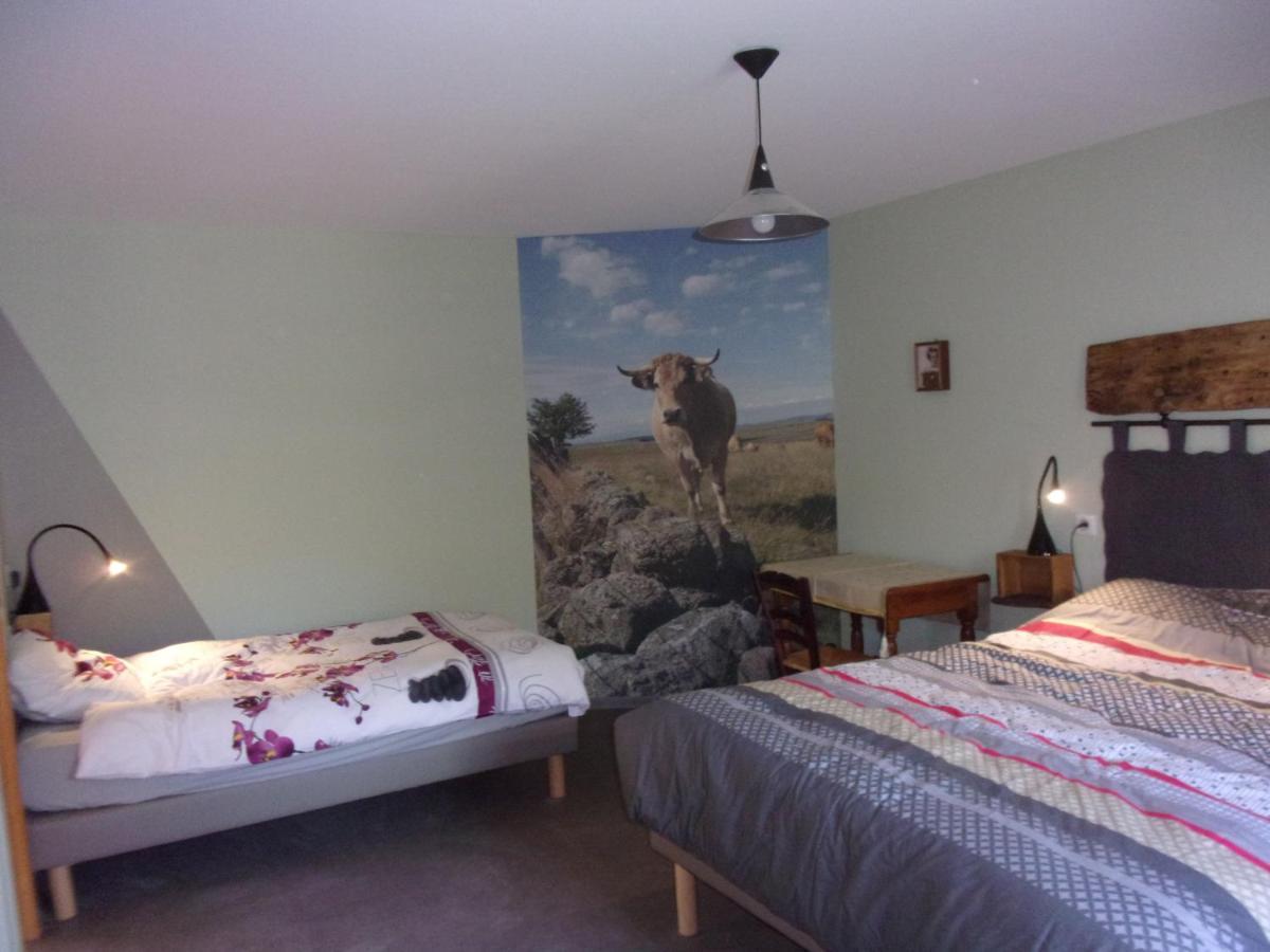 Chambre D'Hotes Le Cascadou Banassac Екстериор снимка